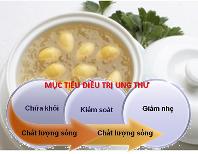 Yến sào có tác dụng kép trong cả hai vấn đề điều trị ung thư  và nâng cao chất lượng sống cho bệnh nhân ung thư.